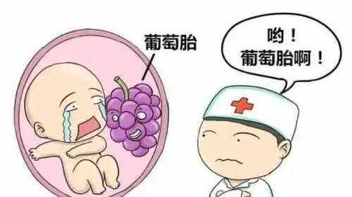 北京代怀孕代孕多少钱|连云港妇幼保健院做三代试管筛选胚胎要多少钱？