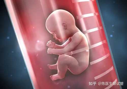<b>北京合法代怀助孕,北京供卵公司有可靠的吗（北京协和提供供卵吗）</b>